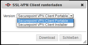 Datei:Ssl-vpn-client.png