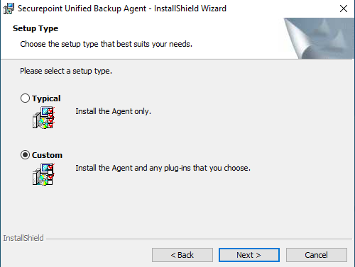 Datei:SUB Agent Windows Setup Setuptyp-en.png