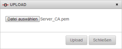 Datei:Client ca import.png