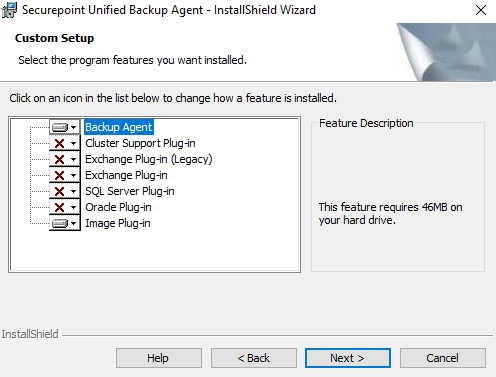 Datei:SUB Agent Windows Setup Benutzerdefiniertes Setup-en.png